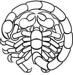 Today's Boston Horoscope - Scorpio